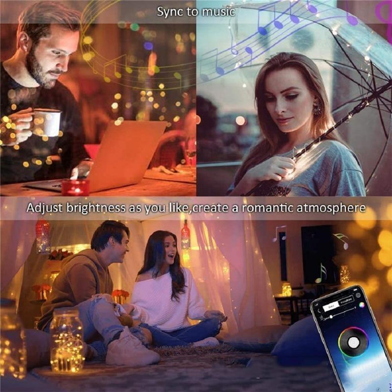 2021 Christmas LED Lights™