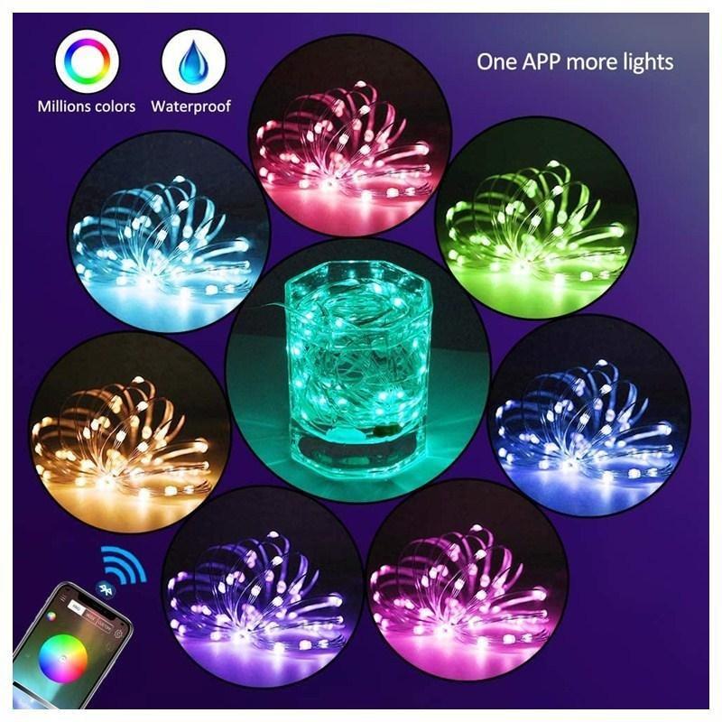 2021 Christmas LED Lights™