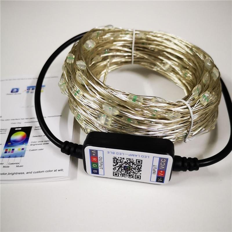 2021 Christmas LED Lights™