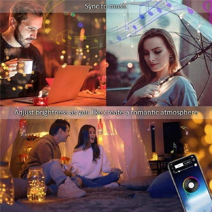 2021 Christmas LED Lights™