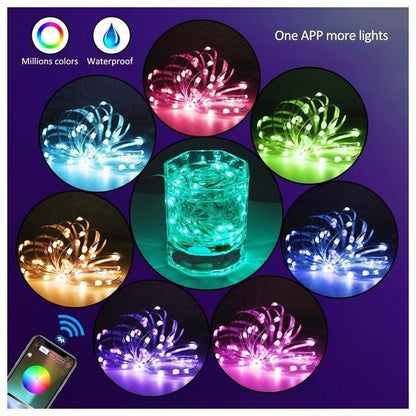 2021 Christmas LED Lights™